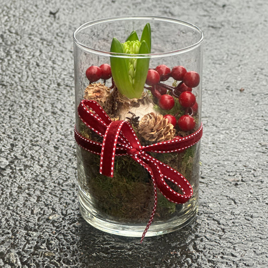 Svibel i glassvase med dekor