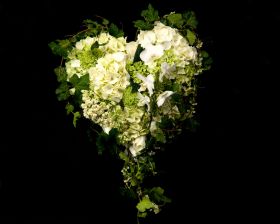 Hjerte med hvite blomster og orkidéer