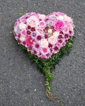 Hjerte Rosa Toner Roser Chrysantemum 01