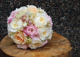 Rund brudebukett med Roser, Protea og Ryllik